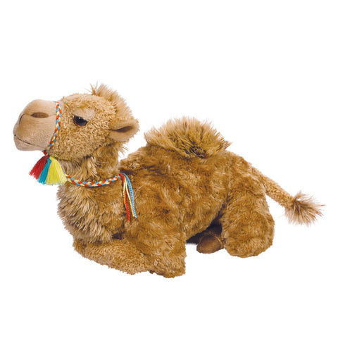 Spitz Camel
