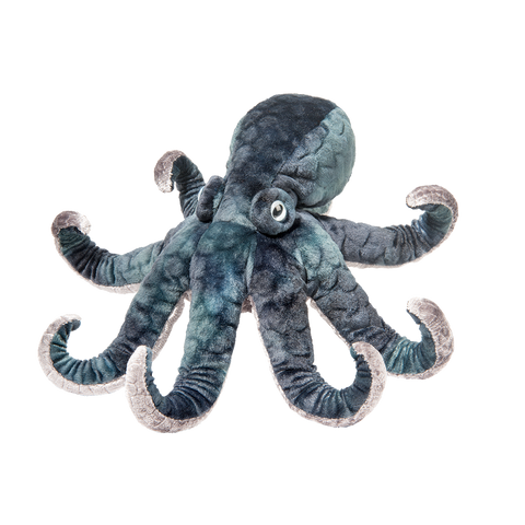 Winky Octopus