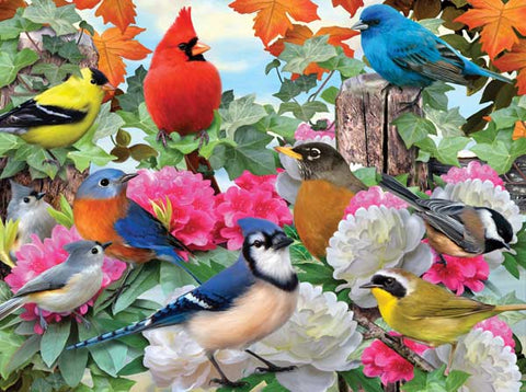 Garden Birds  (500 pc puzzle)