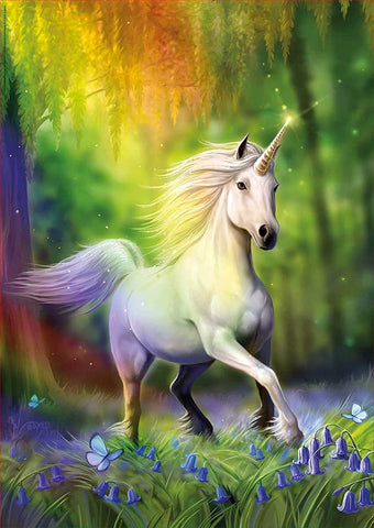 Chasing the Rainbow Unicorn Puzzle  (500 pc)