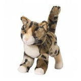 Douglas Tashette Bengal Cat 12'' Plush - Finnegan's Toys & Gifts